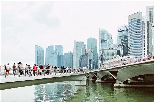 too-many-financial-advisers-singapore